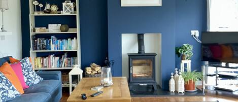 TV, fireplace, books