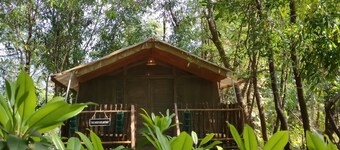 A wellness getaway in nature, for you & your pet !