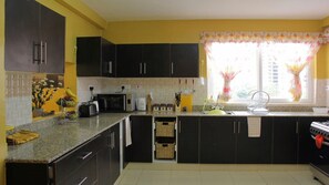 Kühlschrank, Mikrowelle, Herdplatte, Geschirrspüler