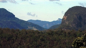 A mountainous landscape with dense forest. - Clouds on Beechmont - Chalet (Beechmont)