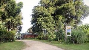 A rural road leading to a house surrounded by dense trees. - Clouds on Beechmont - Chalet (Beechmont)