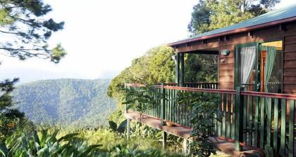 Clouds on Beechmont - Chalet