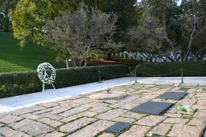 Stroll through a serene outdoor space surrounded by abstract sculptures and lush greenery.
