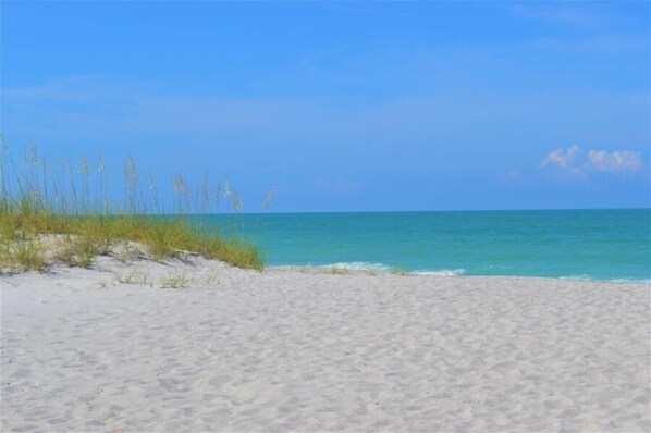 On the beach, sun-loungers, beach umbrellas, beach towels