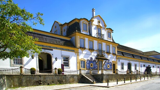Eksteriør