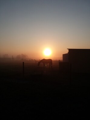 Photo non classée, 2 sur 16, bouton