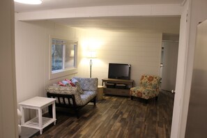 TV, DVD player, books, video library