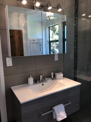 Shower, hair dryer, towels, soap - Gemini Lodge Rotorua Lake side paradise (Kawaha Point)