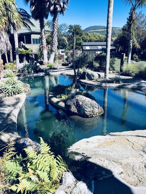 A serene outdoor pool area with clear water, surrounded by rocks and ferns, and palm trees. - Gemini Lodge Rotorua Lake side paradise (Kawaha Point)