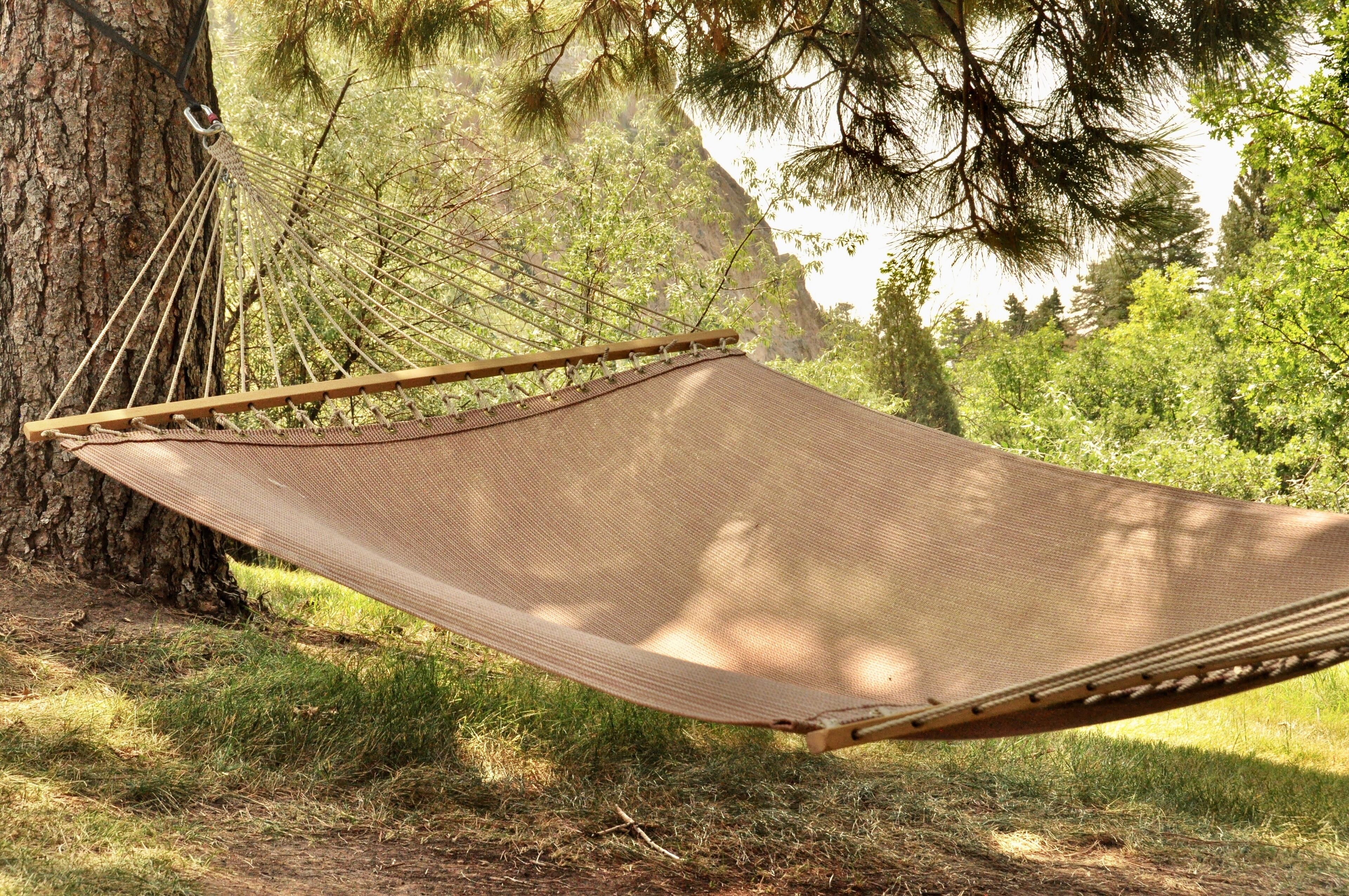 A hammock tied between two trees in a natural setting.