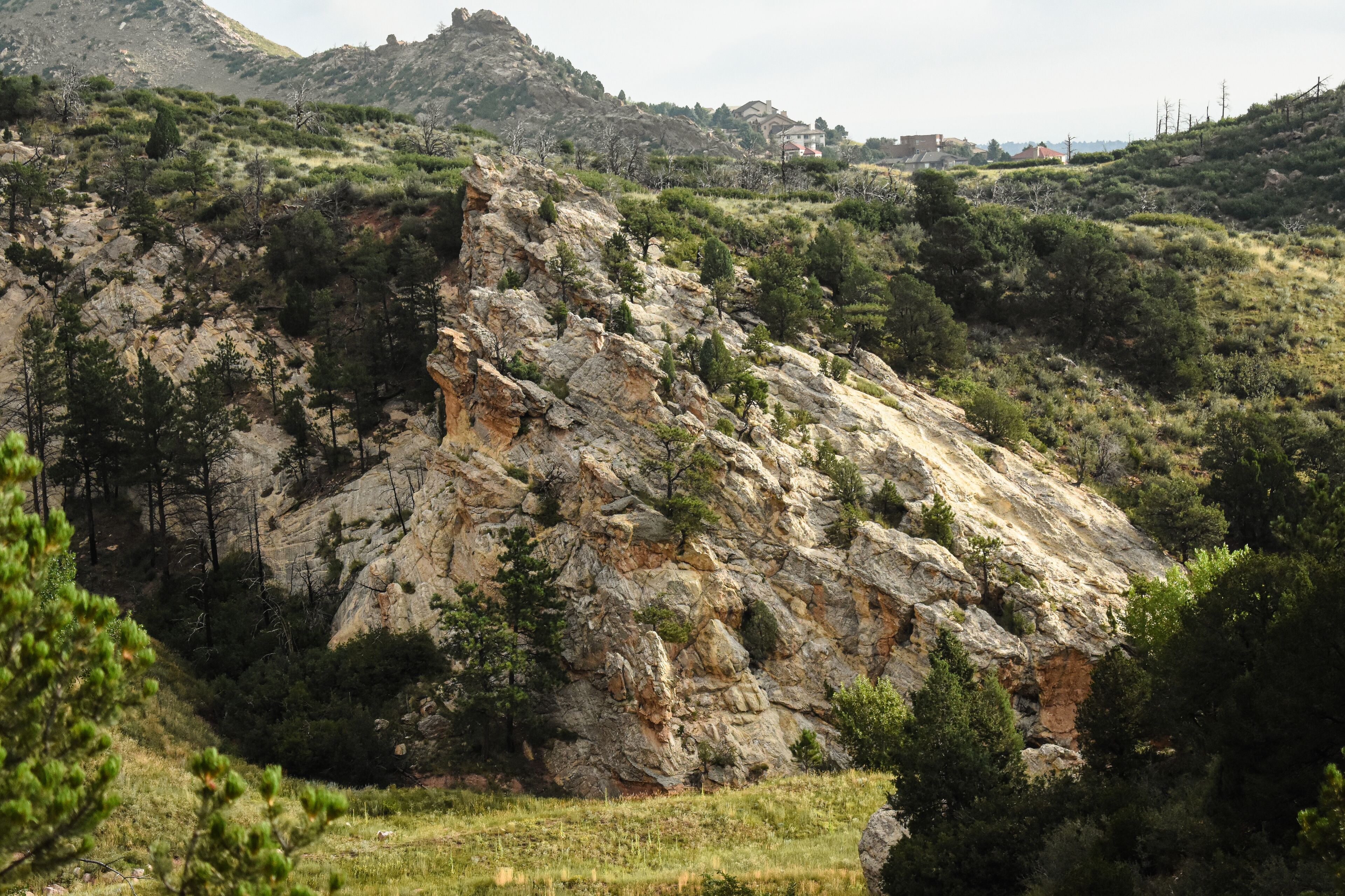 Une colline rocheuse, avec une végétation clairsemée et quelques arbres isolés.