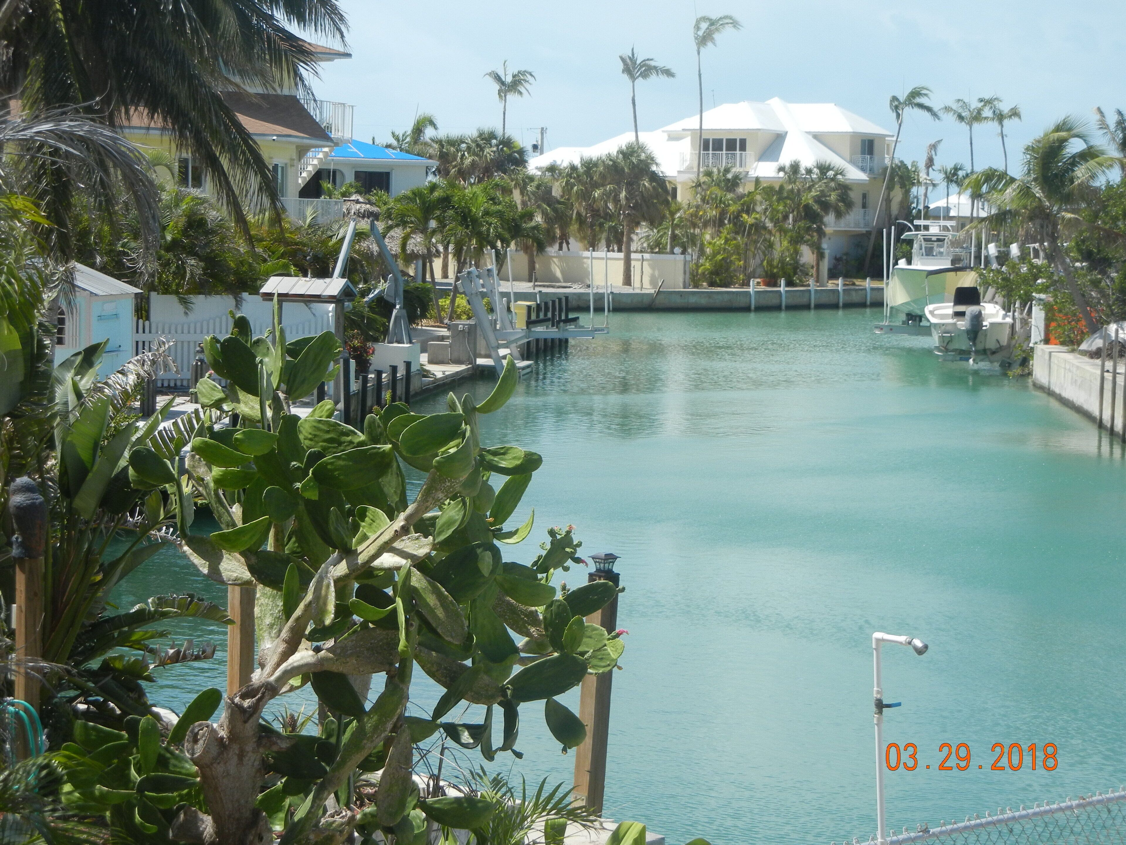 LIVING IN BEAUTIFUL PARADISE
