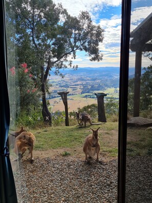 Interior - The gallery - eco-friendly atmosphere (Vacy)