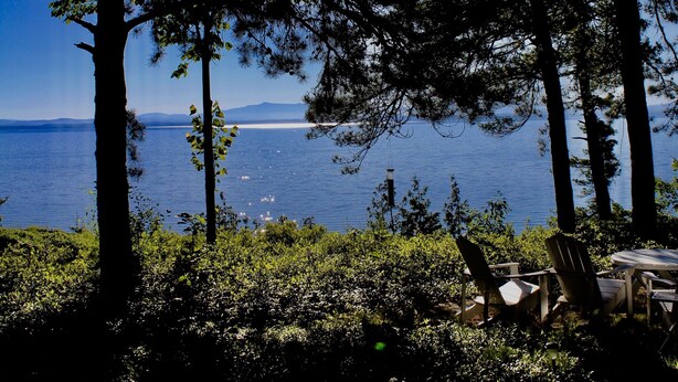 Une vue sur le lac, avec de grands arbres et une table entourée de chaises.