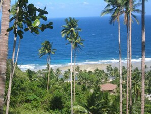 Plage, chaises longues