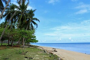 Plage, chaises longues
