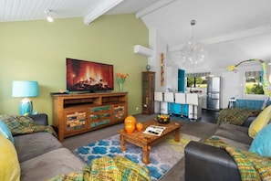 TV, Netflix, DVD-spiller og bøker