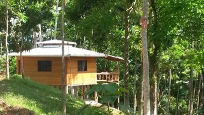Una cabaña de madera con balcón, rodeada de un bosque denso.