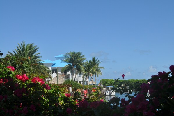 A resort with a large building, palm trees, and a view of the water.