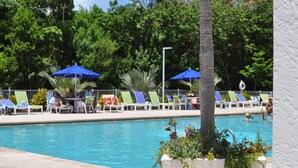 A pool area with lounge chairs and umbrellas, surrounded by greenery. - Oceanfront, 2 Bedroom Unit At Ocean Pointe Condominium (Tavernier)