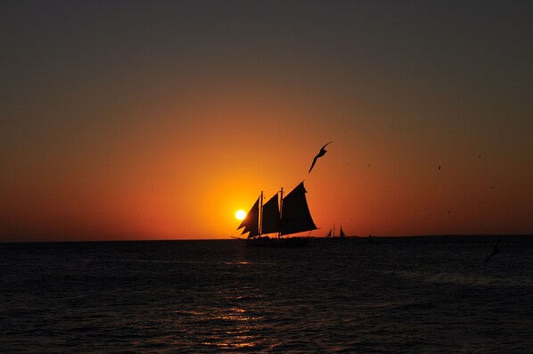 A sailboat on the water during sunset. - Oceanfront, 2 Bedroom Unit At Ocean Pointe Condominium (Tavernier)
