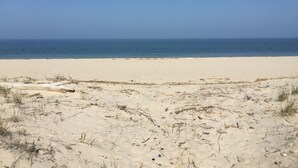 A sandy beach with sparse vegetation and a clear view of the ocean.