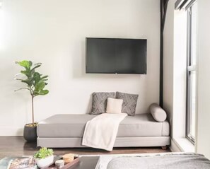 تلفزيون ذكي، مدفأة، كُتُب، مكتبة فيديو