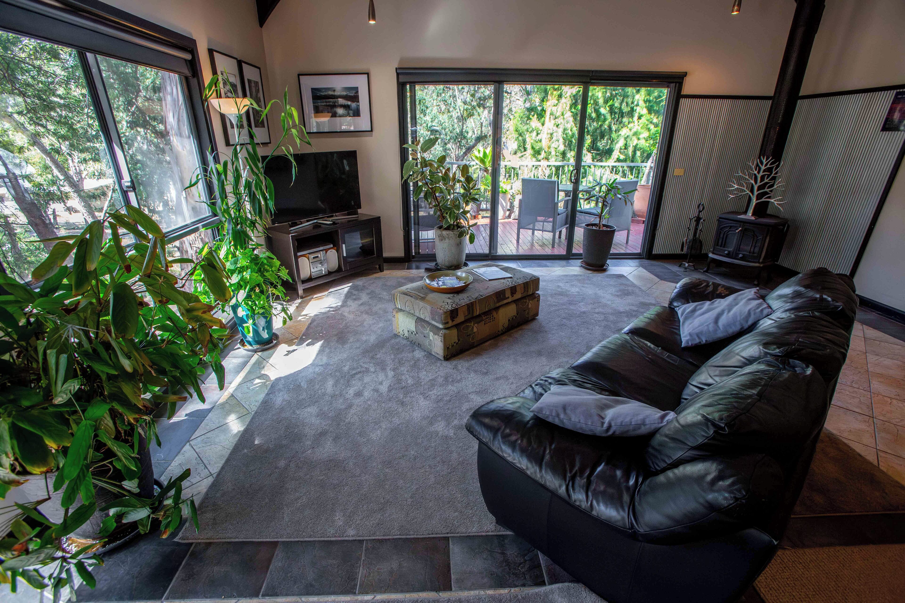 TV, peis, DVD-spiller og filmbibliotek