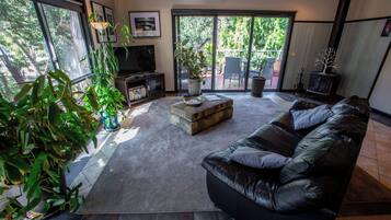 TV, peis, DVD-spiller og filmbibliotek