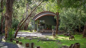 Una estructura de madera rústica con techo curvo, rodeada de abundante vegetación y árboles.