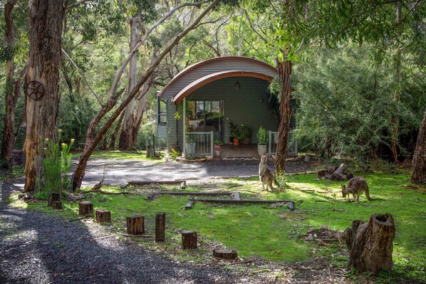 Property grounds - Heavenly Escape: simply, a lovely getaway (Halls Gap)