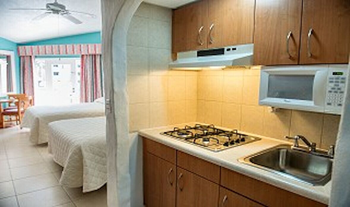 Fridge, microwave, stovetop, electric kettle