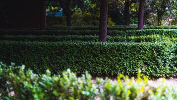 Jardines del alojamiento