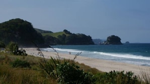 A coastal beach with a sandy shore, green hills in the background, and ocean waves.