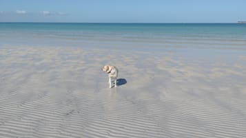 På stranden