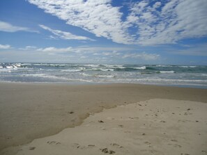 Playa en los alrededores 