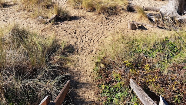 Una playa arenosa con dunas y una vista despejada del océano.