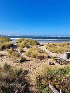 Ein Sandstrand mit Dünen und freiem Blick auf den Ozean.