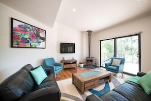 Smart TV, fireplace, DVD player, books
