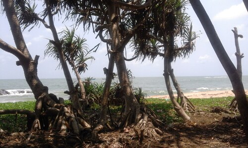 'SAI DHAM' Beach House Bungalow vuokrattavana Gujjadi