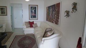 TV, lareira, DVD player, videoteca