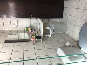 Shower, hair dryer, towels