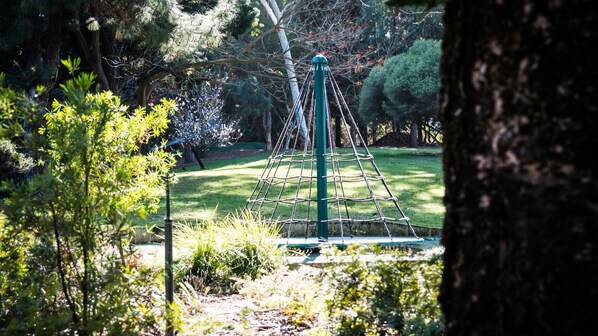 Relax in a serene park setting, where a sturdy rope swing awaits, suspended among lush greenery.