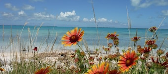 LOCAL LADY 2 BEDOOOMS BY BATH BATH CLEAN AIR CONDITIONED BAHAMIAN HOMEによる賃貸 