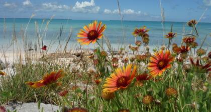 FOR RENT BY LOCAL LADY 2 BEDROOMS TWO BATH CLEAN AIR CONDITIONED BAHAMIAN HOME