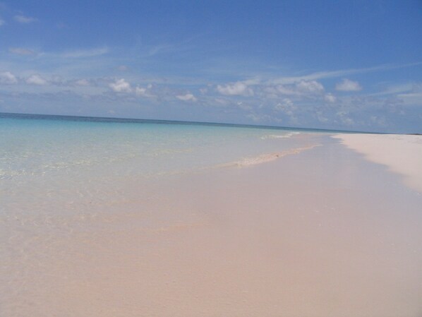 Playa