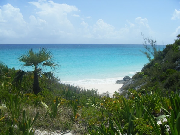 Playa
