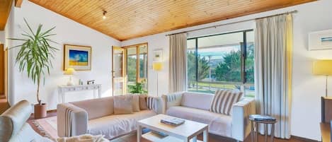 电视、壁炉、DVD 播放器