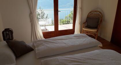 lakeview and modern saltwater pool