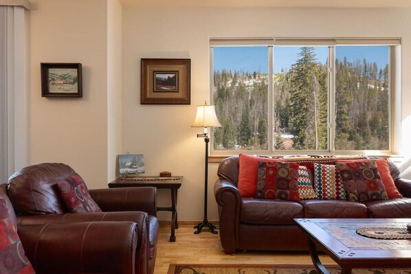 TV, fireplace, DVD player